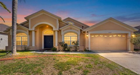 18125 SWEET JASMINE DRIVE TAMPA FL 33647