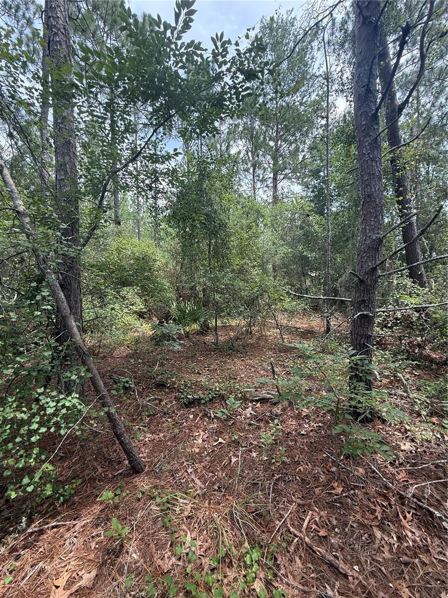NO HOA! This .23 acre lot is located in MARION OAKS UNIT 7 subdivision. Perfect place to Build your dream home! Fast growing community close to schools, grocery stores, dining, and shopping. Quick access to I-75! Marion Oaks has a Community Center, with Gym, Basket Ball / Tennis Courts, Playground, Library and more. WATER CONNECTION IN FRONT PER MCU.