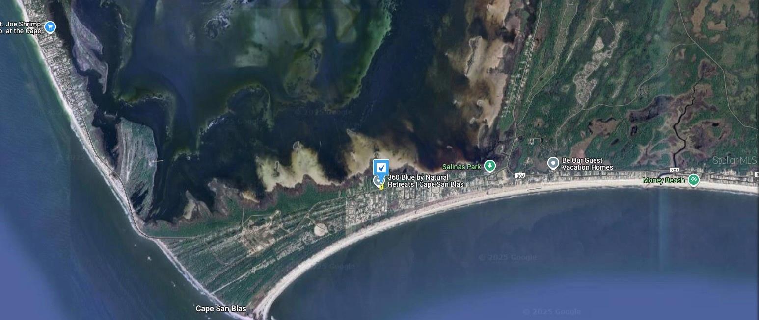 1133 CAPE SAN BLAS ROAD