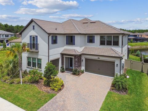 29895 PICANA LANE WESLEY CHAPEL FL 33543