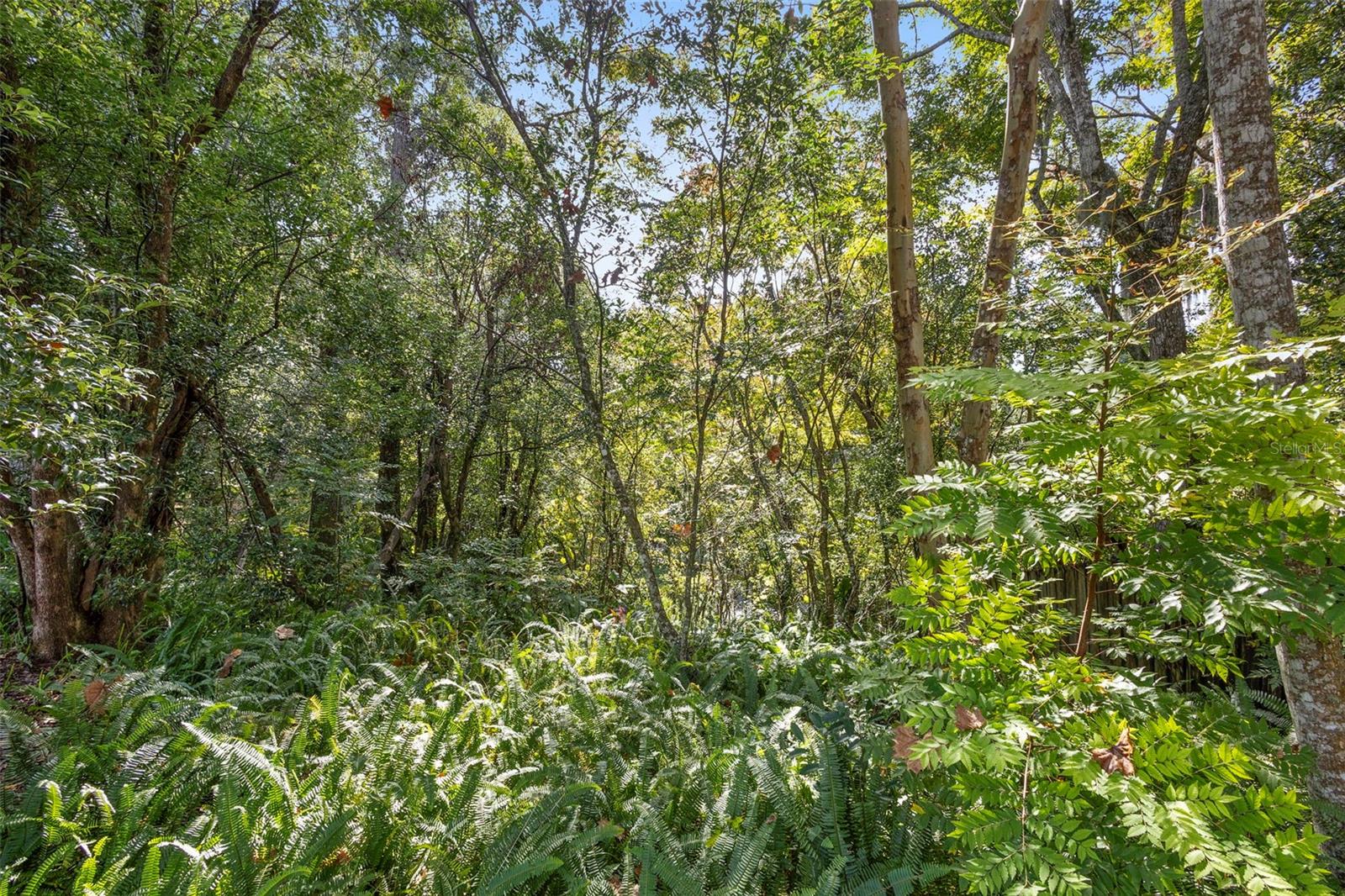 PHIPPENS - Residential