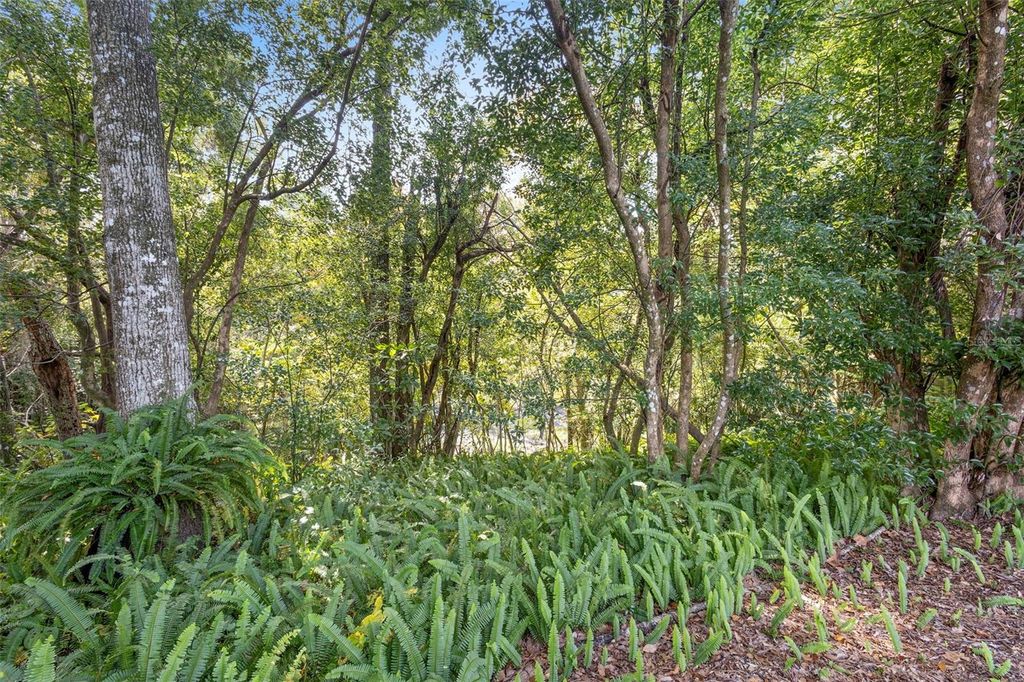 Photo of 706 E Wisconsin Avenue, Deland, FL 32724 (MLS # V4945746)