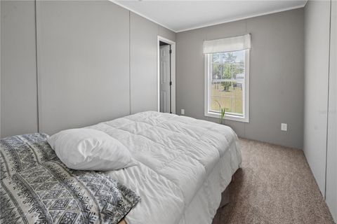 Tiny photo for 191 NE 136th Court, Williston, FL 32696 (MLS # GC540466)
