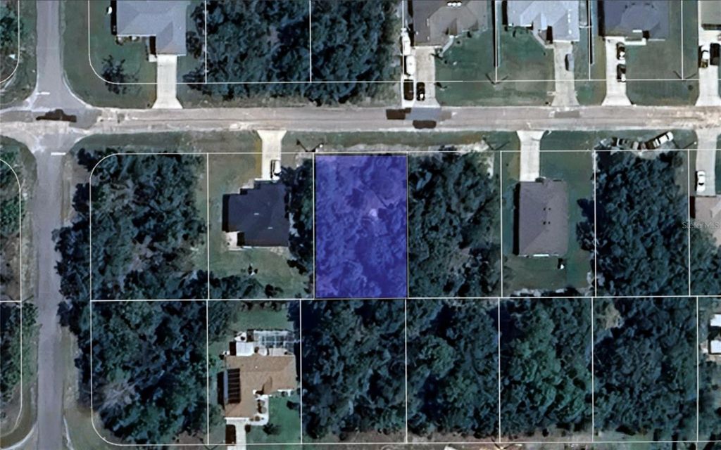 Photo of 2162 W Swanson Drive, Citrus Springs, FL 34434 (MLS # TB8448706)