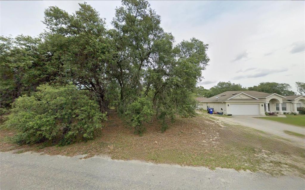 Photo of 2162 W Swanson Drive, Citrus Springs, FL 34434 (MLS # TB8448706)