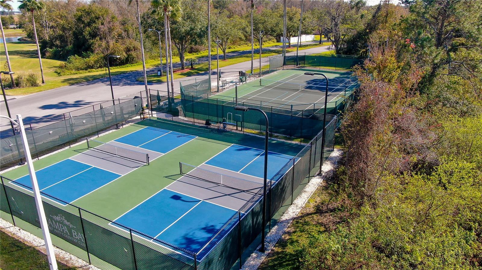 TAMPA BAY GOLF & TENNIS CLUB - Residential