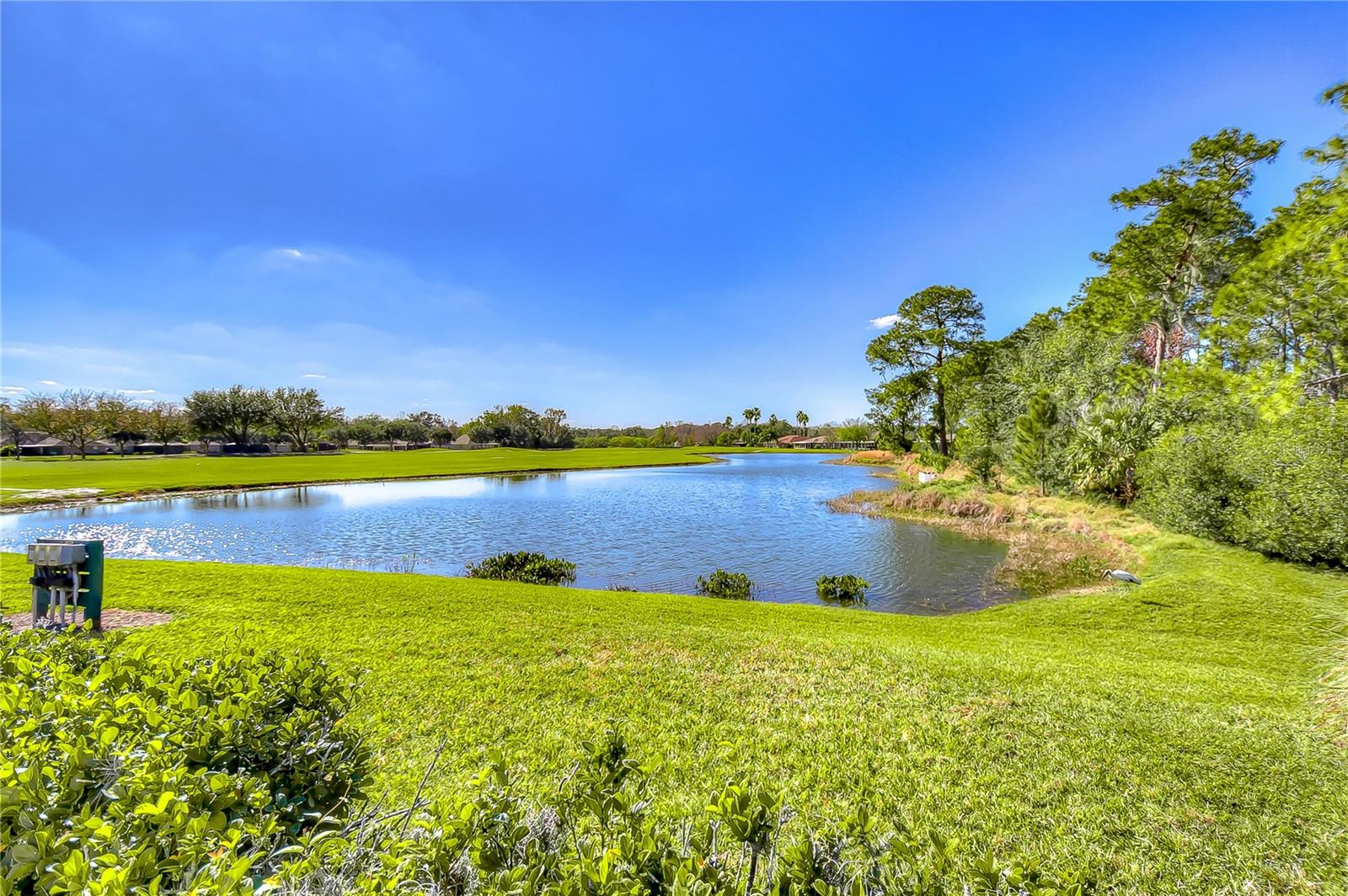 TAMPA BAY GOLF & TENNIS CLUB - Residential