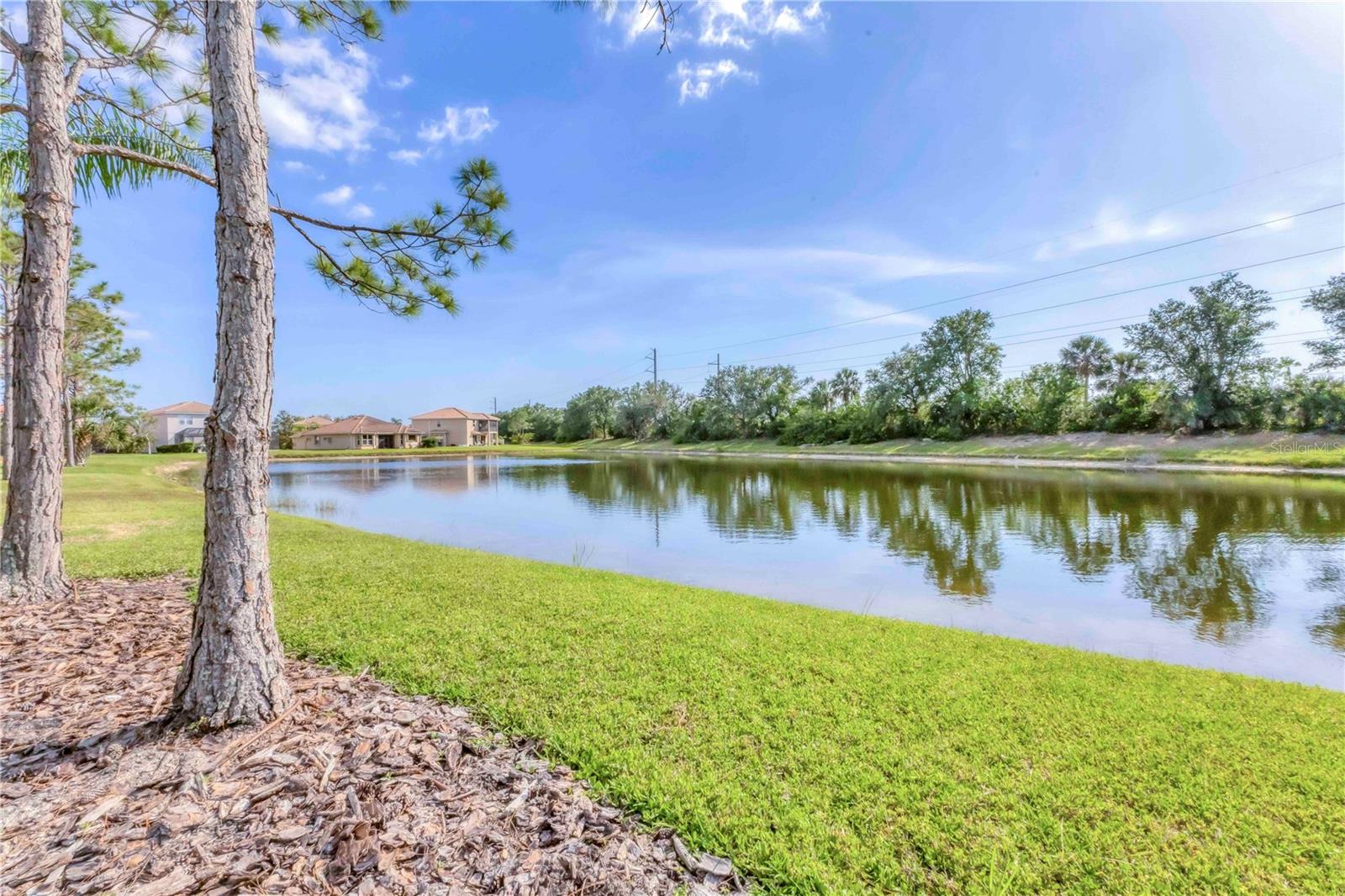 11504 DANCING RIVER DRIVE