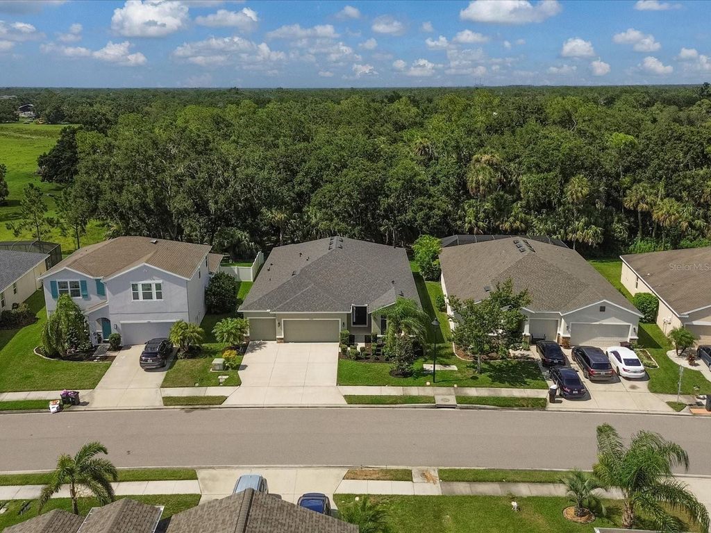 Photo of 15309 Trinity Fall Way, Bradenton, FL 34212 (MLS # A4659670)