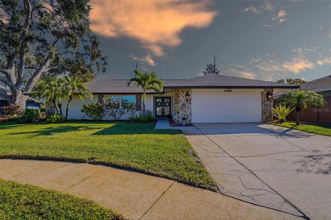 10099 LINDEN PLACE DRIVE SEMINOLE FL 33776