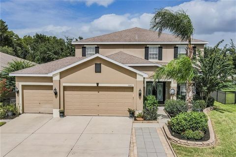 A home in LAND O LAKES