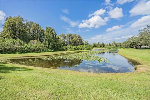 A home in LAND O LAKES