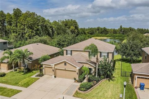 A home in LAND O LAKES