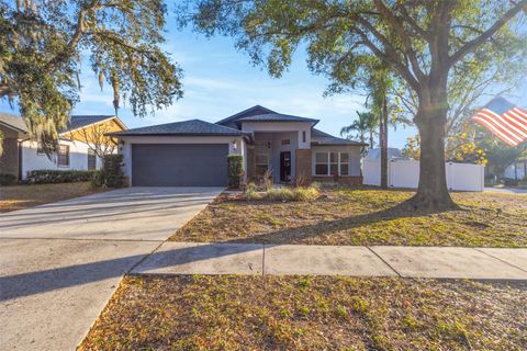 2558 BRIMHOLLOW DRIVE VALRICO FL 33596