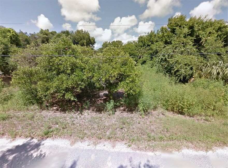 Great opportunity to build dream home! 
Seller will fiance $26,250.00 at 8% interest only for 2 years, no prepayment penalty. Seller to provide note and mortgage, buyer pays for document preparation and recording fees.; Cleared: No