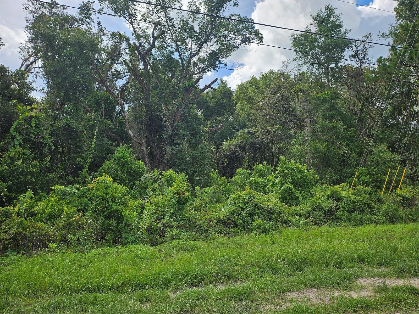 Beautiful wooded property. This property consists of 10 individual lots. Each lot is a buildable lot or build your dream home on the beautiful 1.71 acre lot.