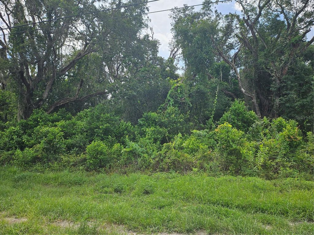 Photo of Us Highway 41, Spring Hill, FL 34610 (MLS # TB8413434)