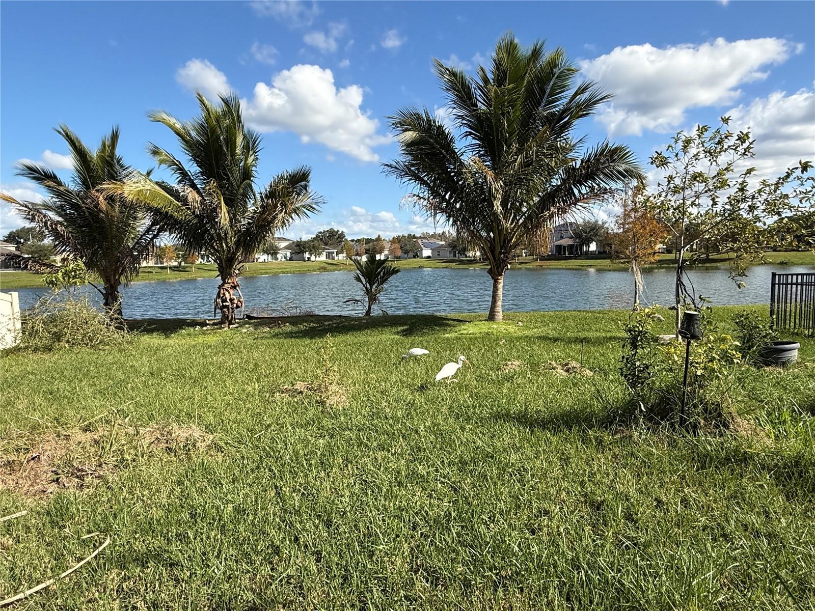 ESTATE C PH 1 - Residential