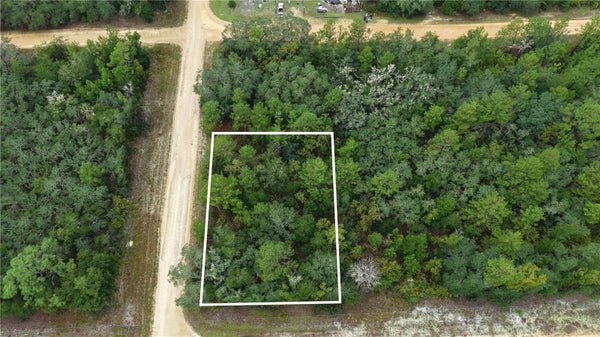 ADDRESS PRIVATE, INTERLACHEN, FL  - Image 889b03ff50b73c4e8452e3f7d65328ba/456867973