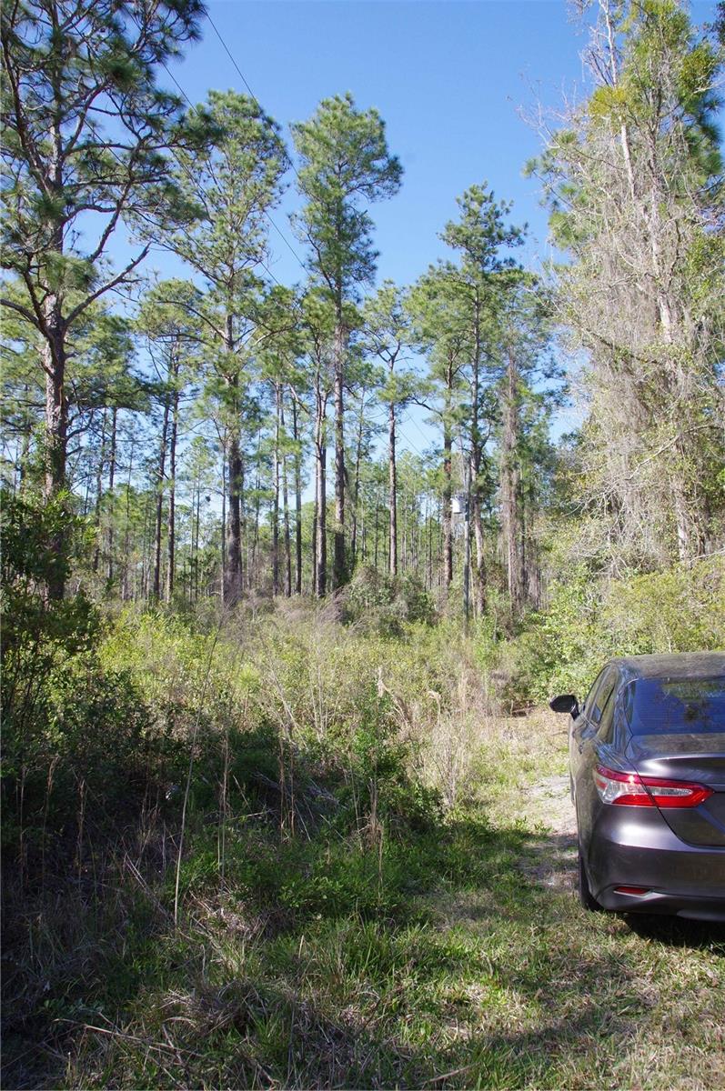 BLACK SINK PRAIRIE SITES 09 21 - Land