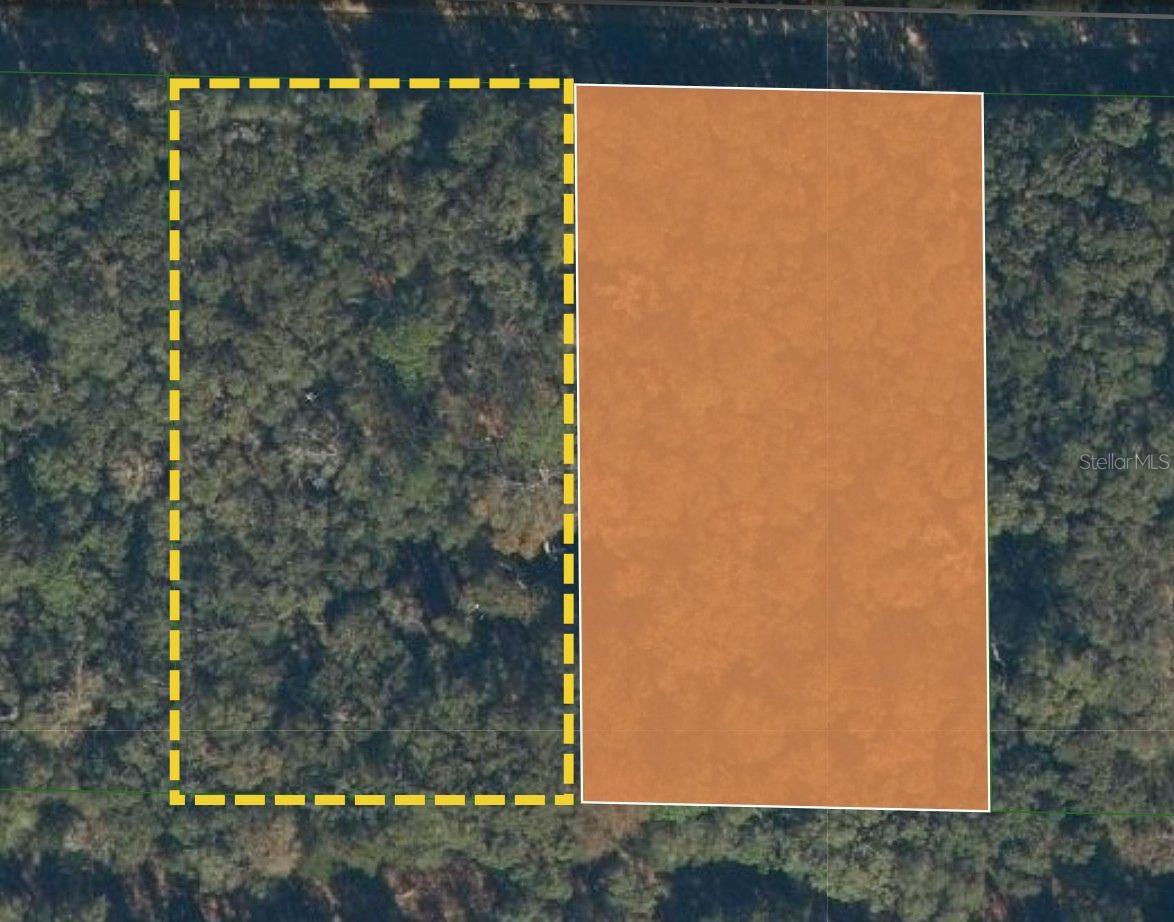 119 MAGNOLIA ROAD