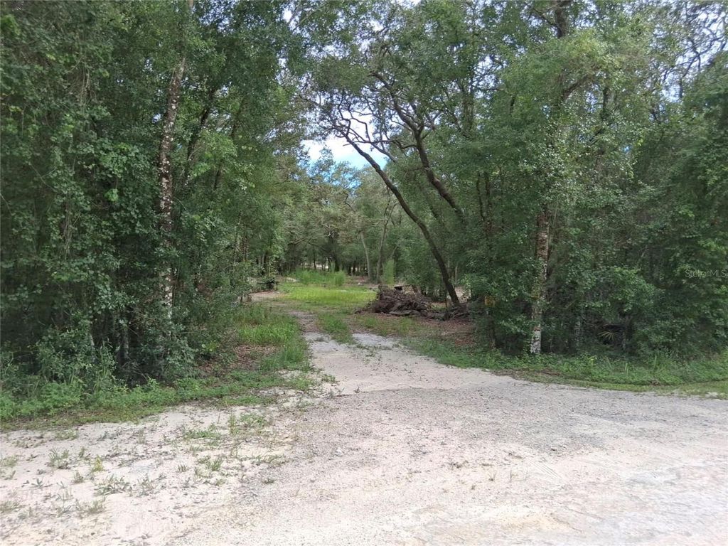 Photo of 33174 Tombstone Street, Webster, FL 33597 (MLS # O6370252)