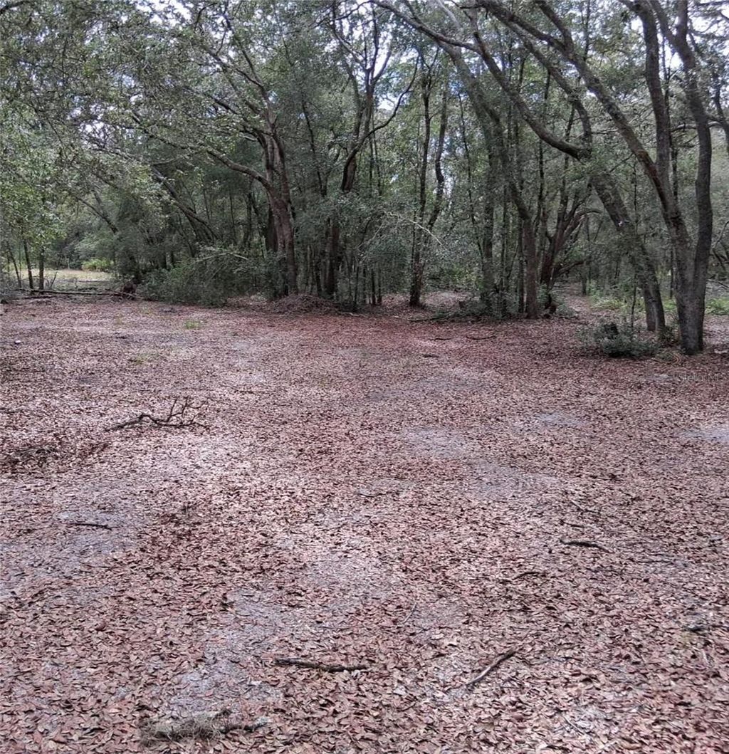 Photo of 33174 Tombstone Street, Webster, FL 33597 (MLS # O6370252)