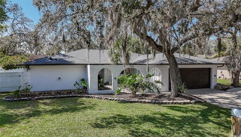Photo of 7608 Laurel Oak Court, Port Richey, FL 34668 (MLS # TB8487930)