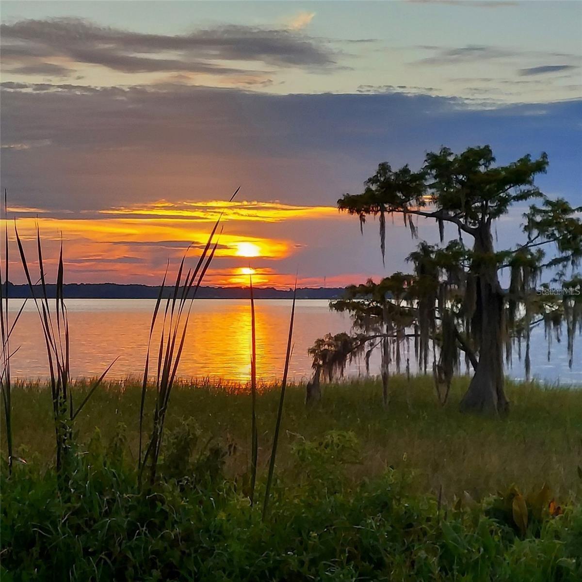 TAVARES CYPRESS COVE CONDO - Residential