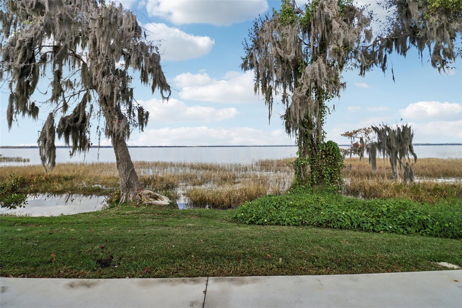 TAVARES CYPRESS COVE CONDO - Residential