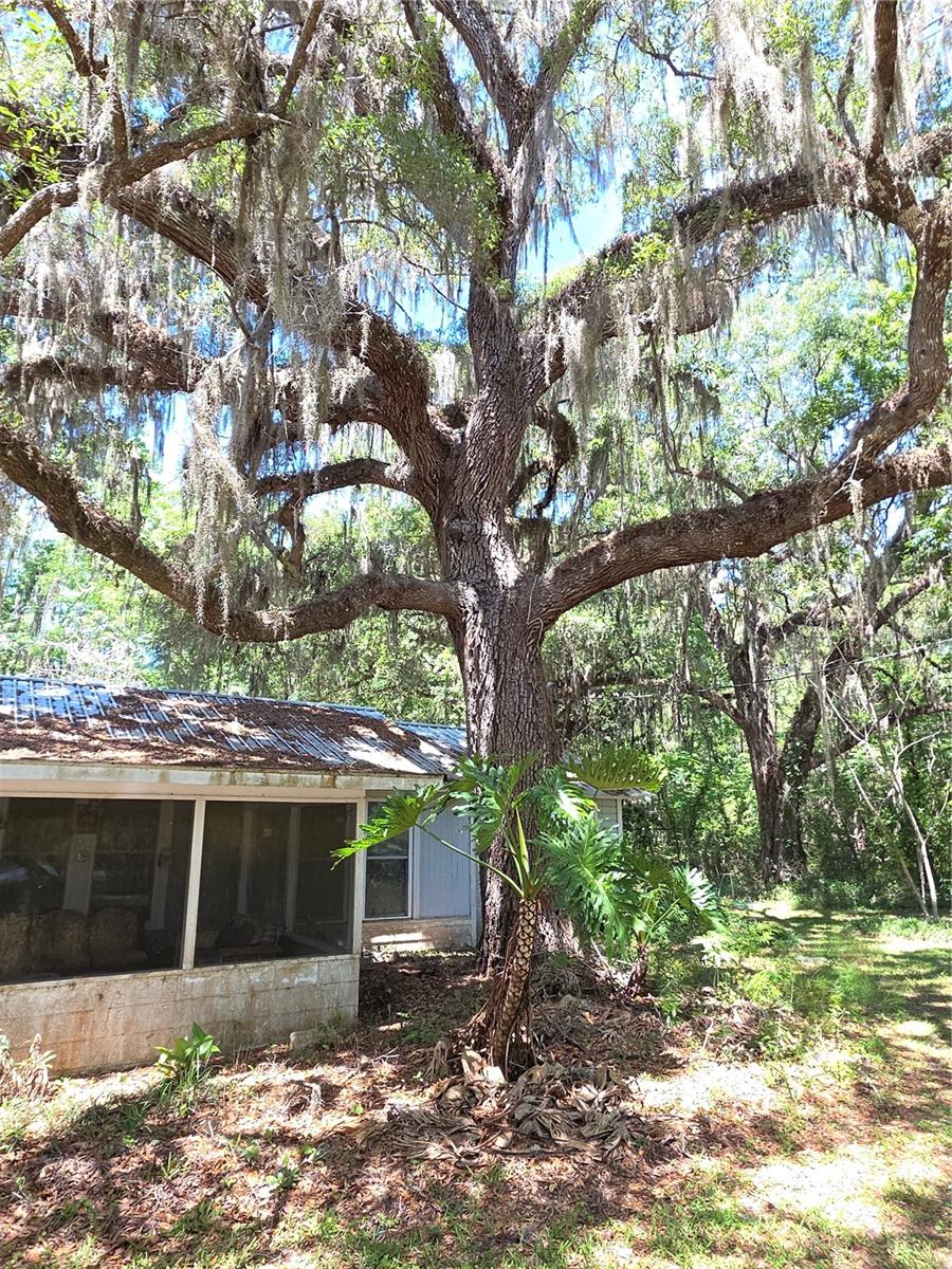 SW1/4 OF SW1/4 LESS S347 FT THEREOF - Residential