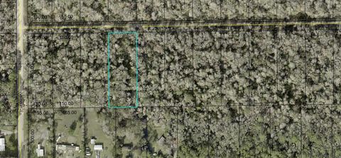 3853 APPLE AVENUE BUNNELL FL 32110