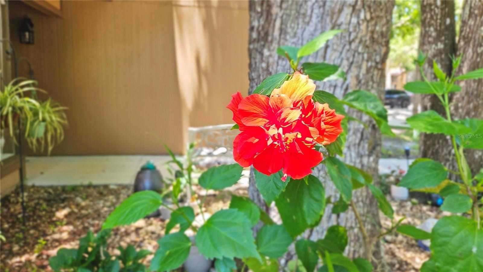 THE FAIRWAYS CONDO - Residential