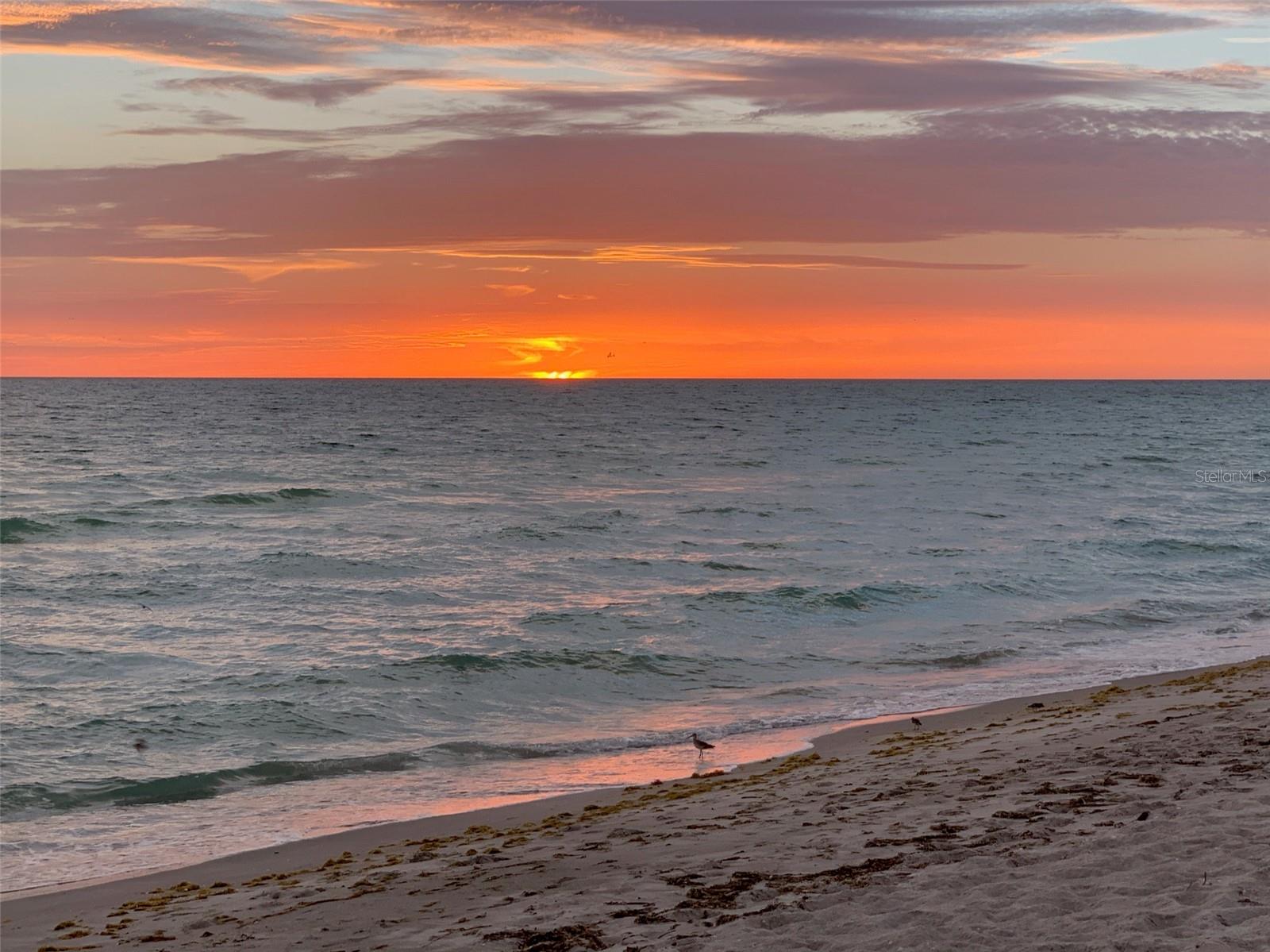 LONGBOAT KEY ESTATES - Residential