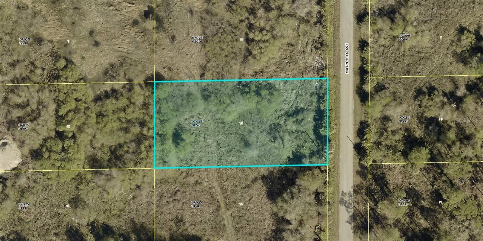 LEHIGH ACRES - Land