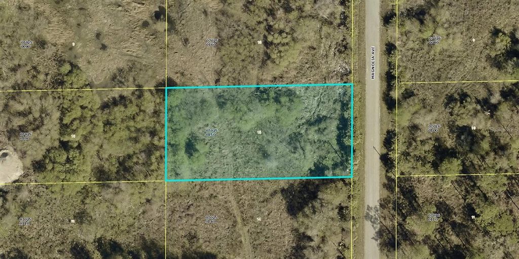 Photo of 1405 Magnolia Avenue, Lehigh Acres, FL 33972 (MLS # A4692370)