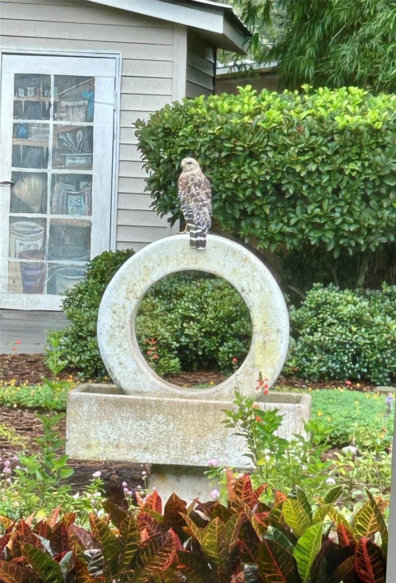 FUQUAY ROGERS - Residential