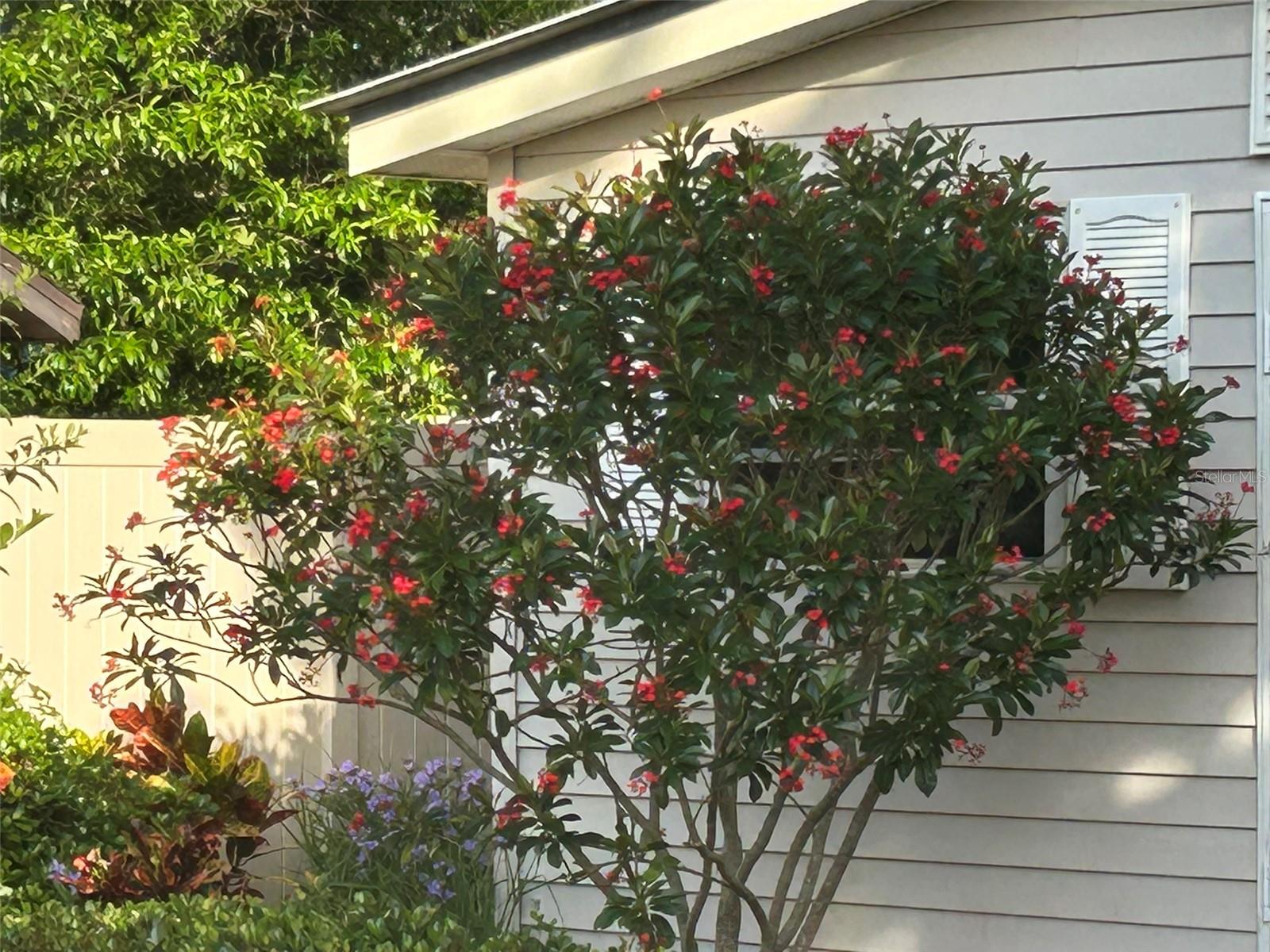 FUQUAY ROGERS - Residential