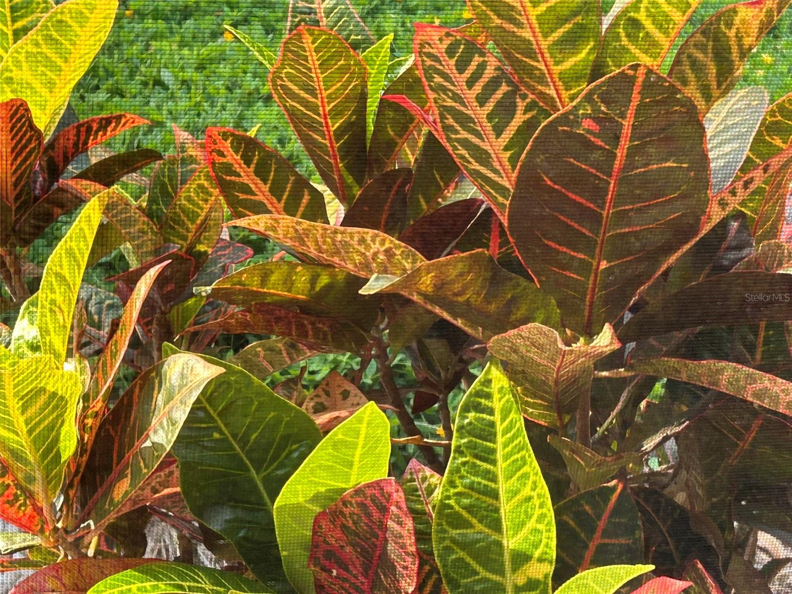 FUQUAY ROGERS - Residential