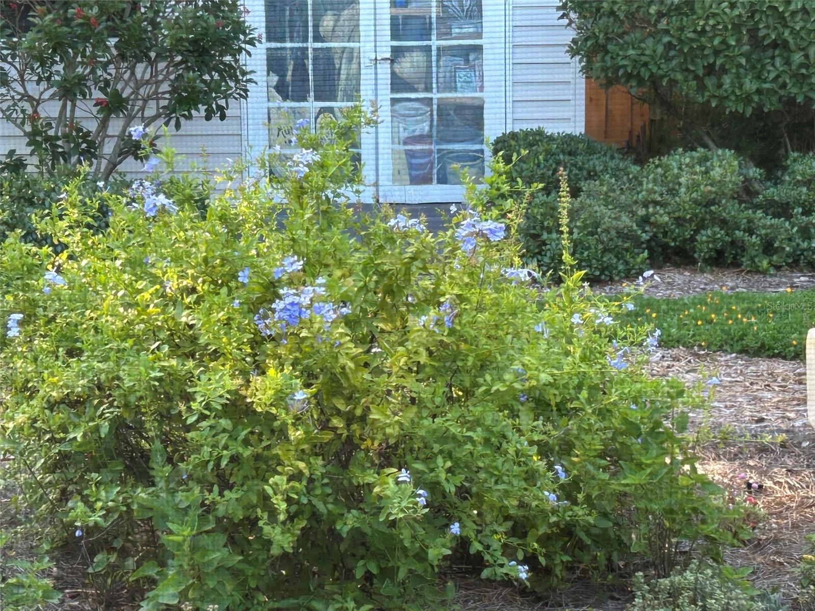 FUQUAY ROGERS - Residential