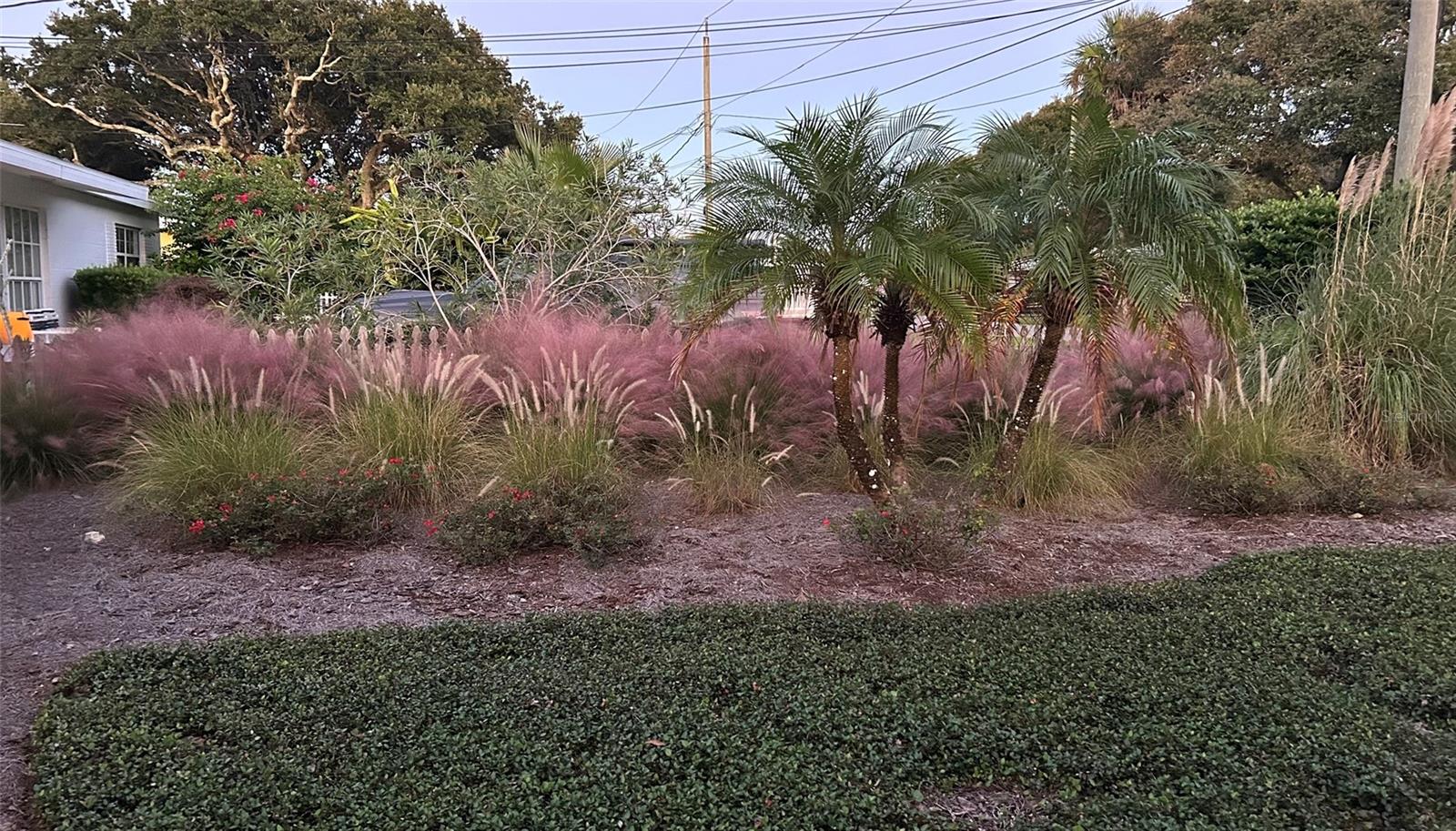 FUQUAY ROGERS - Residential