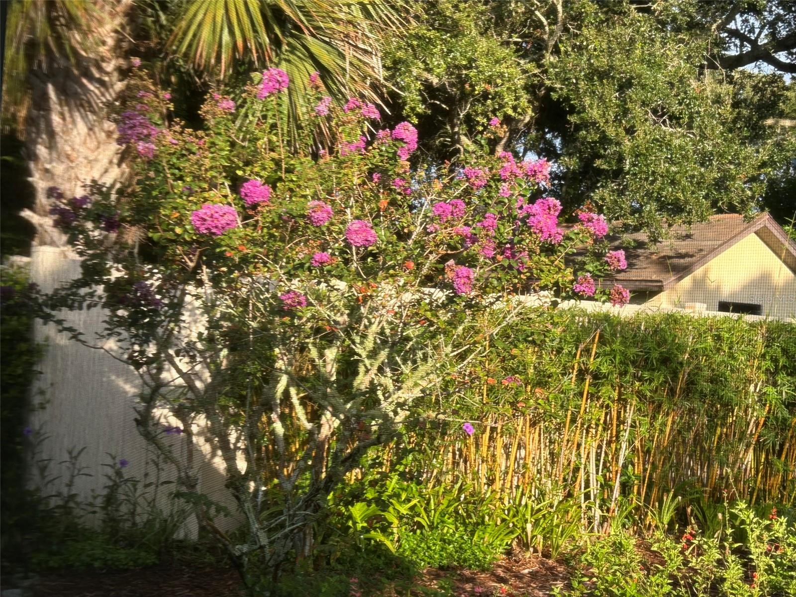 FUQUAY ROGERS - Residential