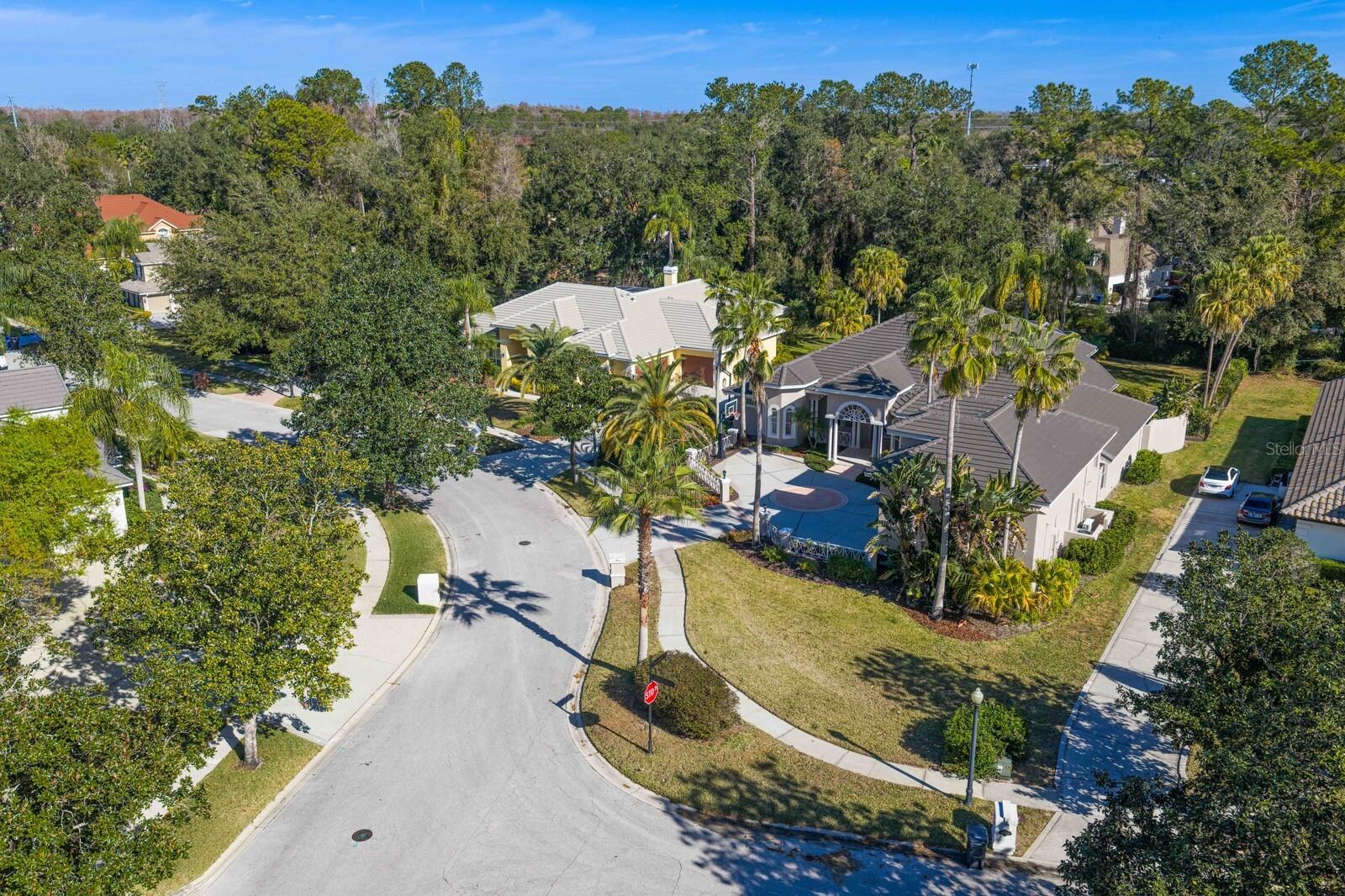 TAMPA PALMS 4A UNIT 2C 2D - Residential