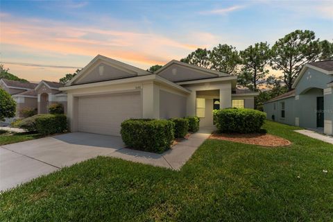 Photo of 5546 Cannonade Drive, Wesley Chapel, FL 33544 (MLS # TB8418422)