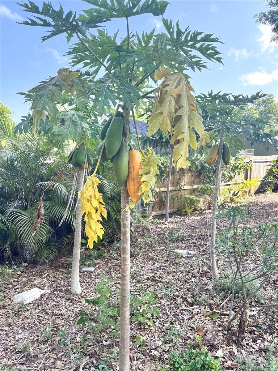 SUTTON WOODS - Residential