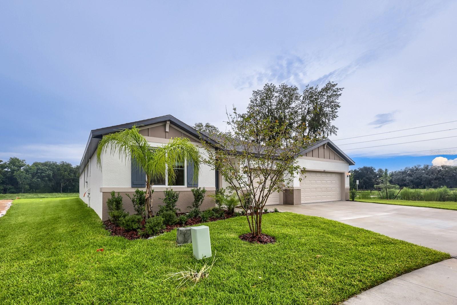 3819 ORANGE FOREST LANE