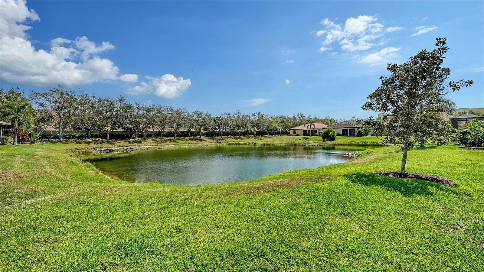 UNIVERSITY GROVES ESTATES RESERVE - Residential