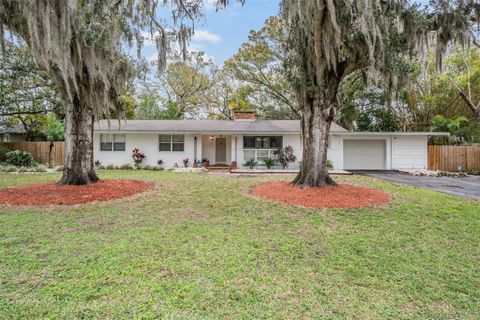 Photo of 11717 N Rome Avenue, Tampa, FL 33612 (MLS # TB8469910)