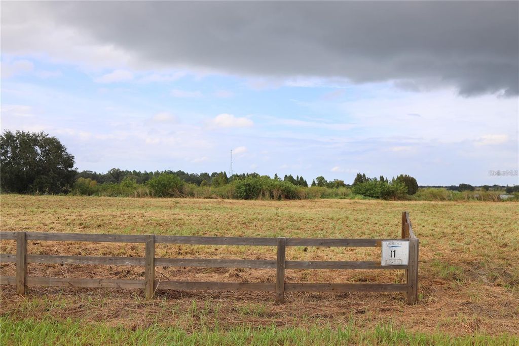 Photo of 1700 Old Brewster Road, Fort Meade, FL 33841 (MLS # R4910041)