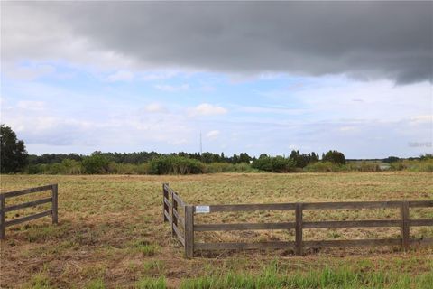 1700 OLD BREWSTER ROAD FORT MEADE FL 33841